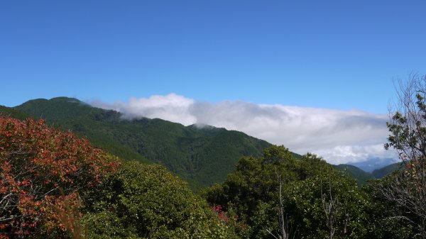 馬武佐野郡山登山健行趣(中級山)1508743