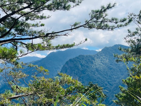 1140824司馬庫斯觀霸步道-賞楓步道2871101