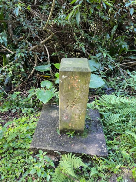 帕米爾公園1887076