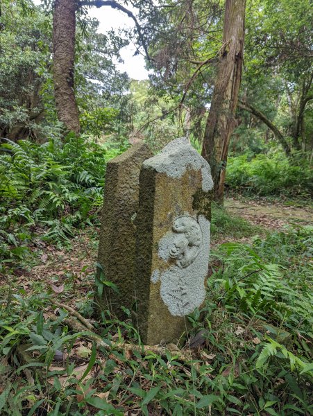 紗帽山步道探訪歷史遺跡、賞芒花1510067
