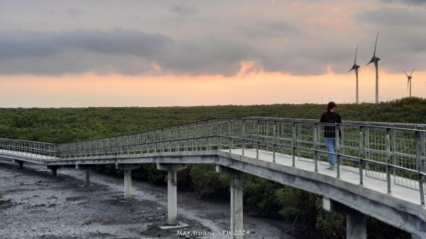 《彰化》海空七夕｜芳苑海空步道濕地紅樹林202408102569270