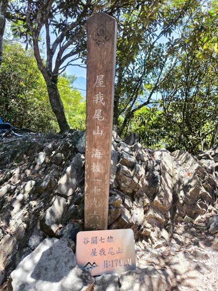 2026-06-20 屋我尾山+屋我尾林道3086851
