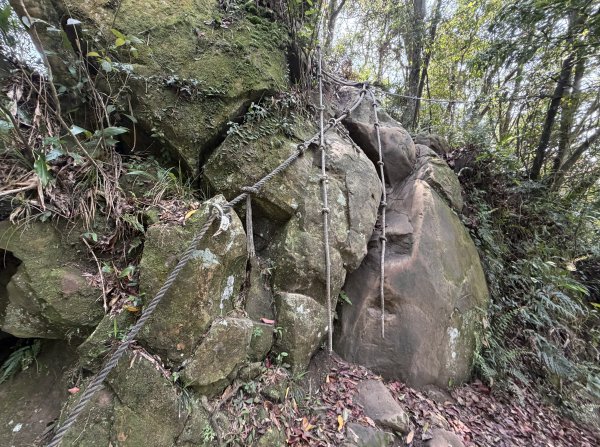 [微笑山線_第八段] 2026_0411 二格山系_筆架山北峰3035129