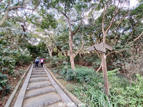 【新竹東區】十八尖山x十八尖山東峰x石家魚丸x東門倆冰糖葫蘆x城隍廟鄭家蛋糕2984194