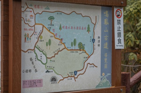 【樟之細路｜尋寶任務】鳴鳳古道(RSA41) & 獅潭老街3030260