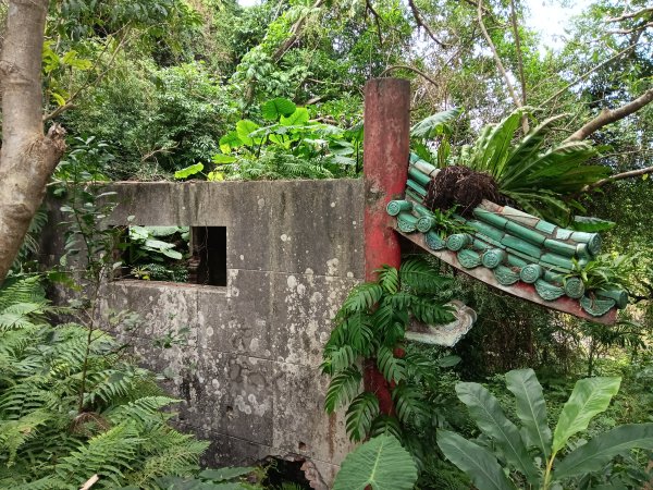 微笑山線和美山螢火蟲段2986176