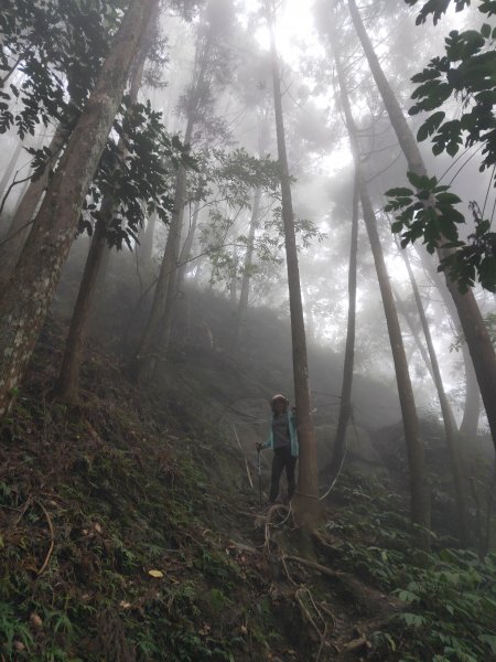 小百岳(32)-向天湖山-202110301674133