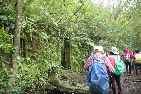 淡蘭古道北路坐山望海1253879