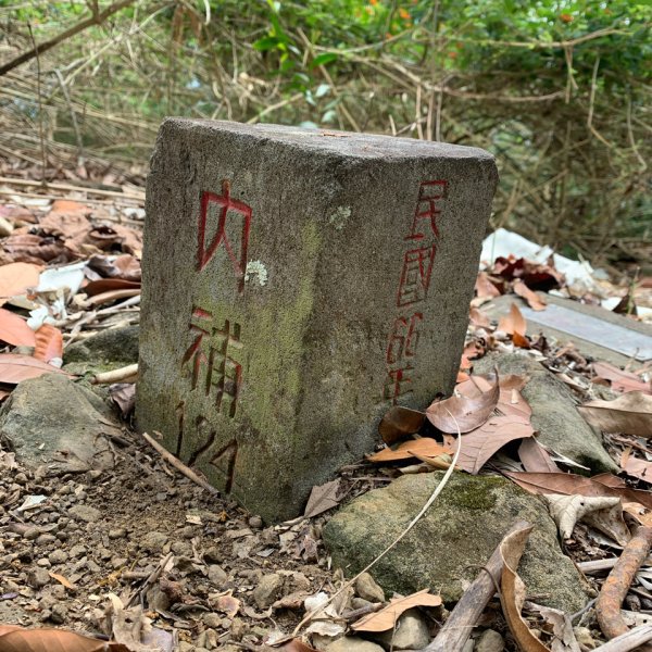 20250403高雄頂荖濃山2757152