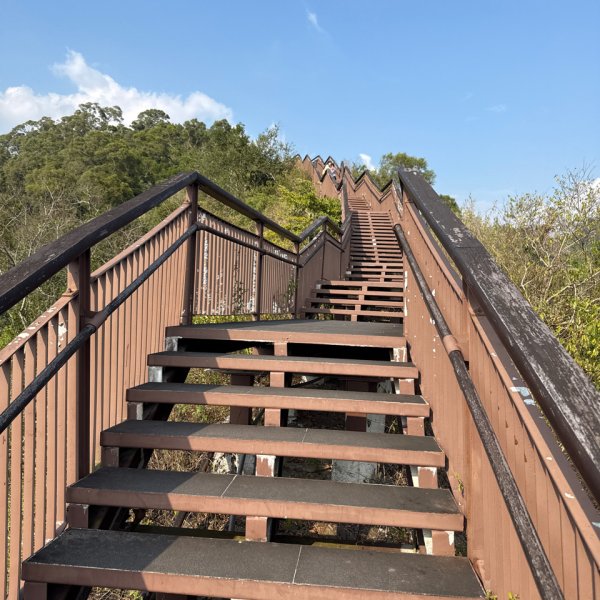 20251213 高雄－臺灣百大必訪步道龍頭山步道2969123