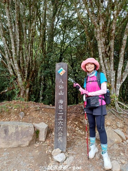 【台中和平】在虐腳的陡上中持續前進。 谷關七雄-八仙山主峰步道2367672