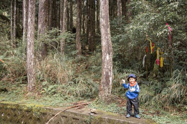 四歲小樂的第八座小百岳-宜蘭三星山978681