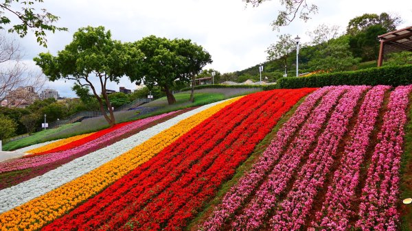 北投社三層崎3010994