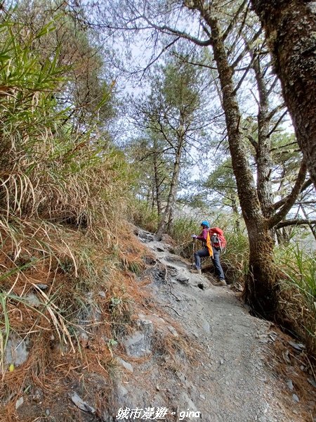 【高雄桃源】朝聖壯闊山景之南橫三星。 編號77百岳~關山嶺山2089030