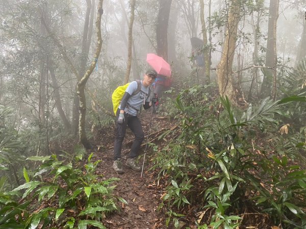 馬那邦山.細道邦山【你 不能預判山的變幻莫測】2401518