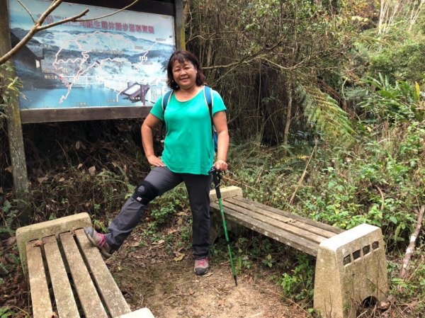 驚驚車程的九份二山之賞梅趣503678