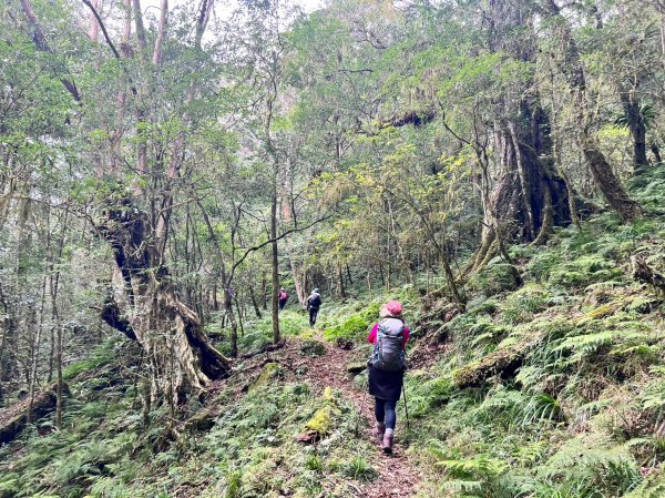 福巴越嶺國家步道2364492