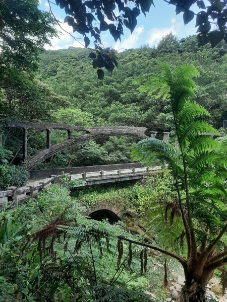 金瓜石，與奈良美智的詩意邂逅2883178