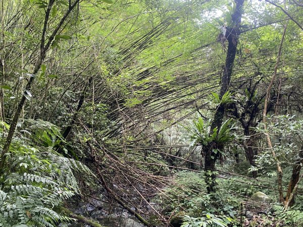 【淡蘭古道尋寶任務】淡蘭南路第四段｜𩻸魚堀溪自行車道至縣界公園2926453