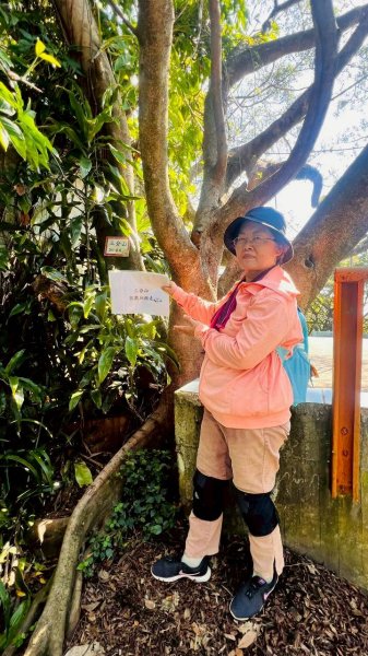 🌈11/8（六）桃園神社+虎頭山風景區尋找10連峰✨FB：熊熊趴爬走🌈2932450