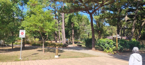 大湳森林公園2910964
