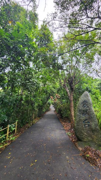 【南投民間】松柏嶺步道連走松柏坑山2601700