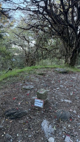 中央尖山 2025 11/7 三天兩夜2935752