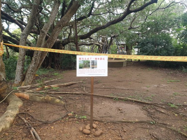 竹南三秘境---青草山、崎頂神社遺跡、北白川宮能久親王紀念碑1594412