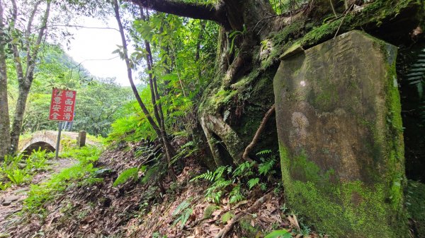 平溪峰頭尖縱走2156429