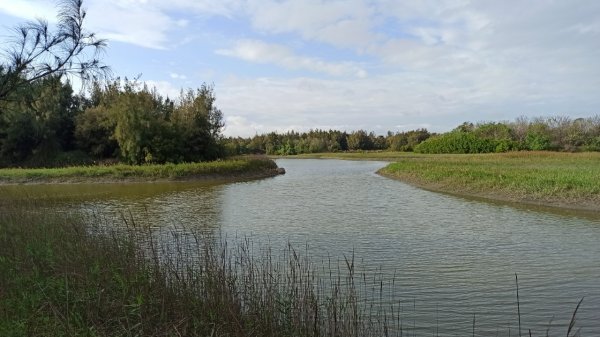 雲嘉南濱海∥生態豐富的鰲鼓溼地森林園區