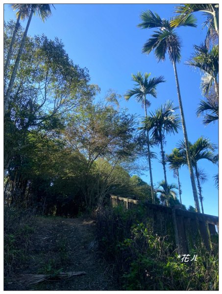 雨後頭縱走 (日月潭)2694399