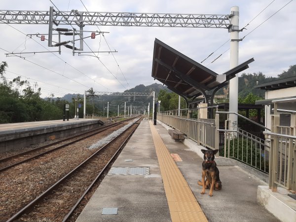 琅嶠卑南古道2717654