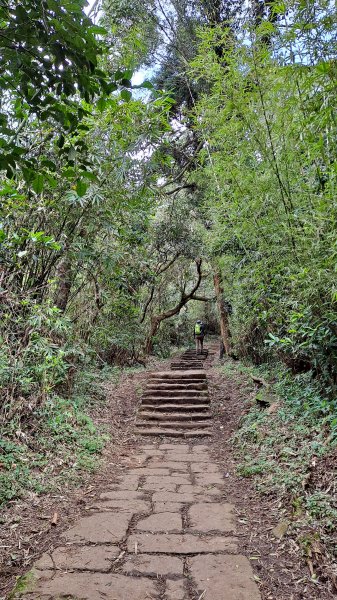 台北大縱走第一段1249187