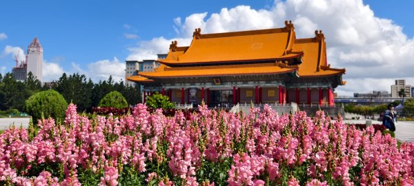 #自由廣場 #大安森林公園 #繡球花 #杜鵑 3/163016274