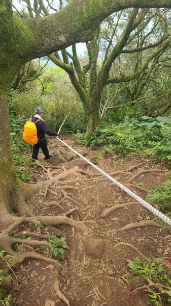 2026-0116 大屯三山_貴子坑_北投2984730