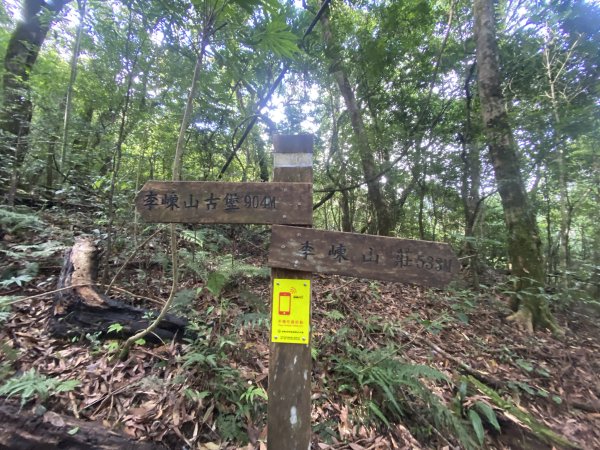 20250713-Ep.10李崠山步道-2025森遊竹縣皮皮獅探險隊2851942