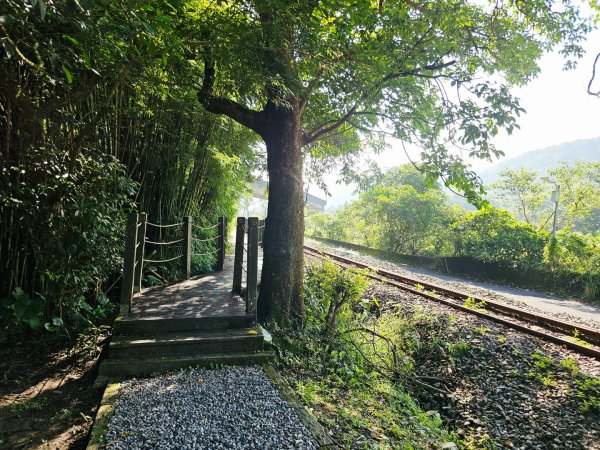 (五分山系)望古瀑布-2025微笑山線大縱走尋寶集章任務2855259