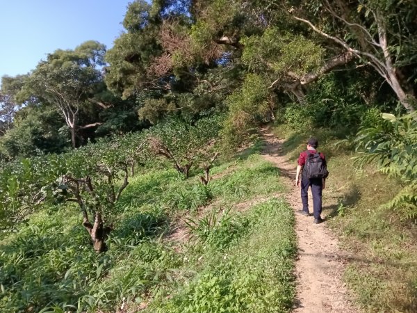 頭城鎮外澳車站+石空古道+太和山步道+蛇頭觀景台+象寮古道+烏山古道+外澳車站O型3018450