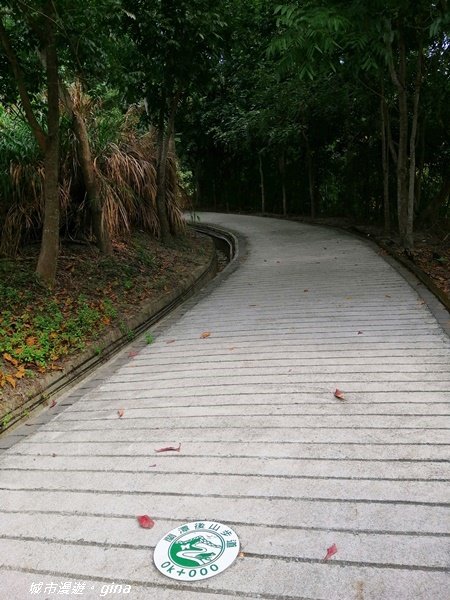 嘉義東區~林蔭步道森林浴~蘭潭後山步道1283909