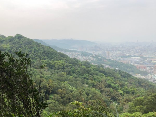 大同山-青龍嶺-大棟山-山佳車站930012