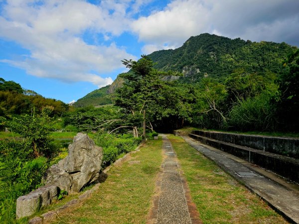 羅山村竹林步道-2025漫遊縱谷愛在花東-花蓮縣富里鄉2916719