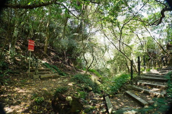 新竹 峨嵋 猿山、六寮山、玖玖山、獅頭山、獅尾山3012142