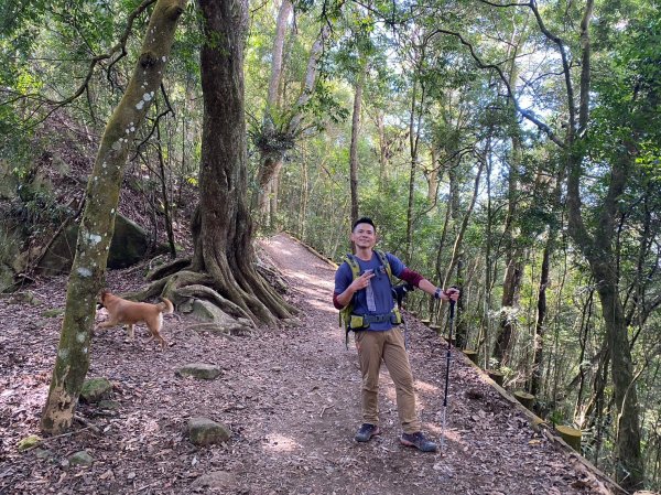 馬那邦山.細道邦山【你 不能預判山的變幻莫測】2401481