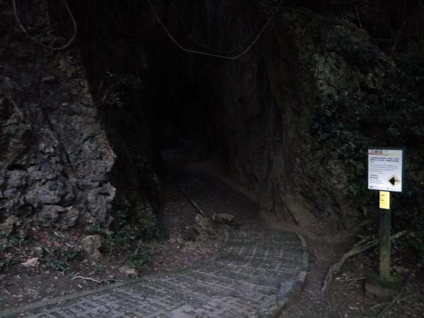 社頂生態保護區1343657