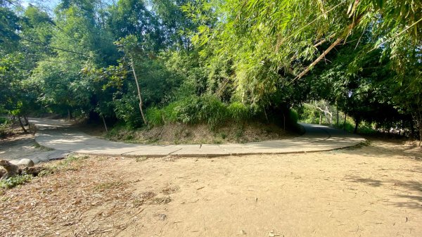 尚書林山步道(鳳凰山)2730896