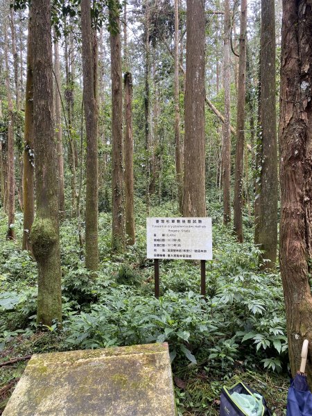 竹崙山志騰山3065562