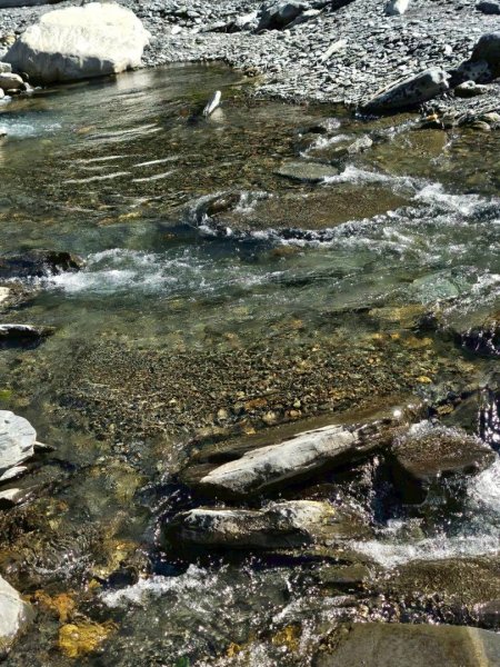 20260113多納六秀 足母山🧗2982969