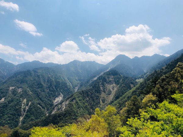 1090413中之關天池-初嚐梅子雞940953