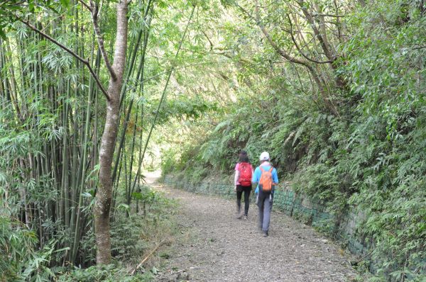 聖母山莊登山步道152616