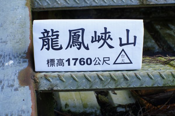 南投 鹿谷 龍鳳山、龍鳳峽山、三叉崙山、水桶寮山、內樹皮山、羊頭崙山、志騰山、竹崙山、溪頭山2962317